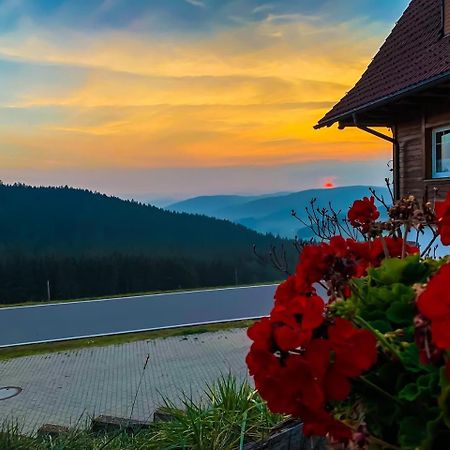 Pension Forsthaus Taele - Das Gaestehaus Vom Schwarzwaldgasthaus Salenhof Titisee-Neustadt Esterno foto