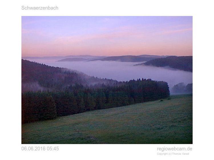 Pension Forsthaus Taele - Das Gaestehaus Vom Schwarzwaldgasthaus Salenhof Titisee-Neustadt Esterno foto