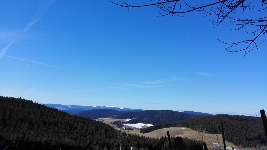 Pension Forsthaus Taele - Das Gaestehaus Vom Schwarzwaldgasthaus Salenhof Titisee-Neustadt Esterno foto