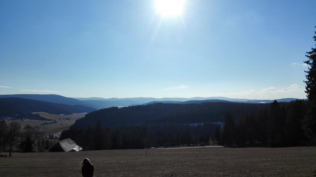 Pension Forsthaus Taele - Das Gaestehaus Vom Schwarzwaldgasthaus Salenhof Titisee-Neustadt Esterno foto
