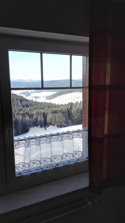 Pension Forsthaus Taele - Das Gaestehaus Vom Schwarzwaldgasthaus Salenhof Titisee-Neustadt Esterno foto