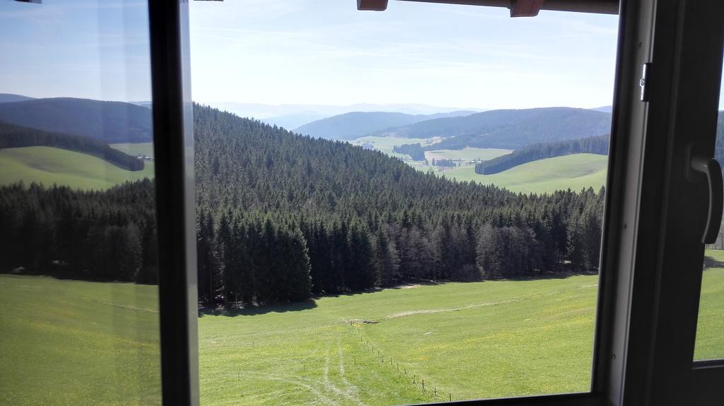 Pension Forsthaus Taele - Das Gaestehaus Vom Schwarzwaldgasthaus Salenhof Titisee-Neustadt Esterno foto