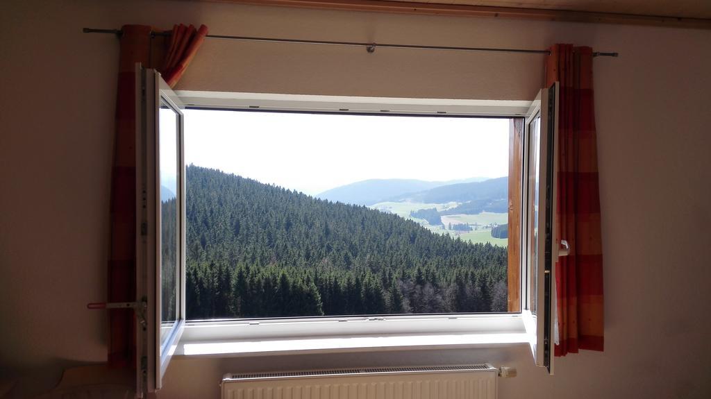 Pension Forsthaus Taele - Das Gaestehaus Vom Schwarzwaldgasthaus Salenhof Titisee-Neustadt Esterno foto