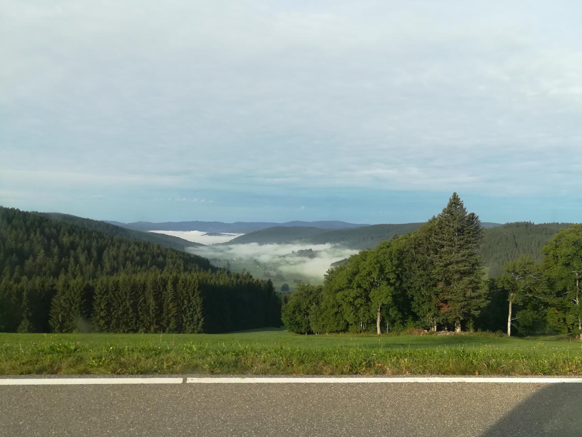 Pension Forsthaus Taele - Das Gaestehaus Vom Schwarzwaldgasthaus Salenhof Titisee-Neustadt Esterno foto