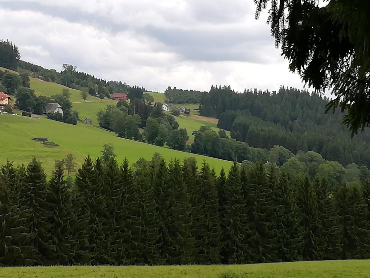 Pension Forsthaus Taele - Das Gaestehaus Vom Schwarzwaldgasthaus Salenhof Titisee-Neustadt Esterno foto
